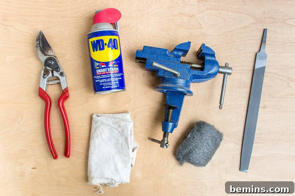 The necessary materials laid out for cleaning and sharpening garden tools, highlighting the tools required for the maintenance process.