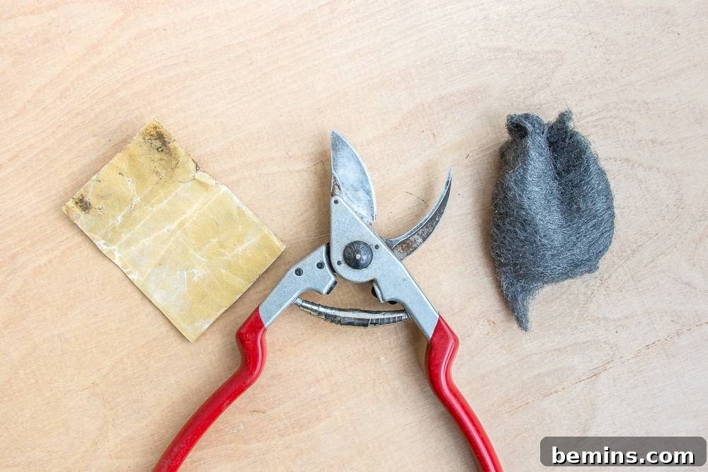 Demonstration of rust removal from a garden tool blade using steel wool or fine sandpaper, essential for preparing the tool for sharpening.