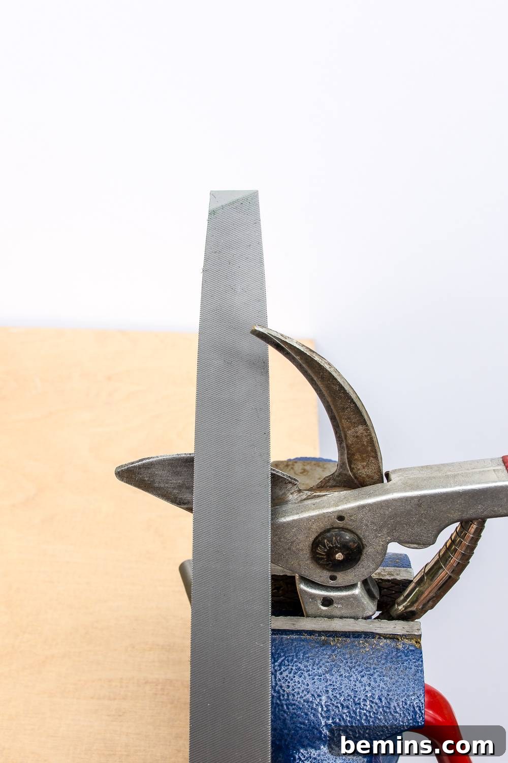 Illustration of the sharpening process, showing the use of a file to refine the edge of a garden tool blade, emphasizing the angle and technique.