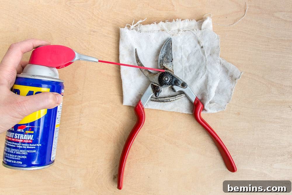Application of oil to a garden tool blade, demonstrating the lubrication process to protect against rust and ensure smooth operation.
