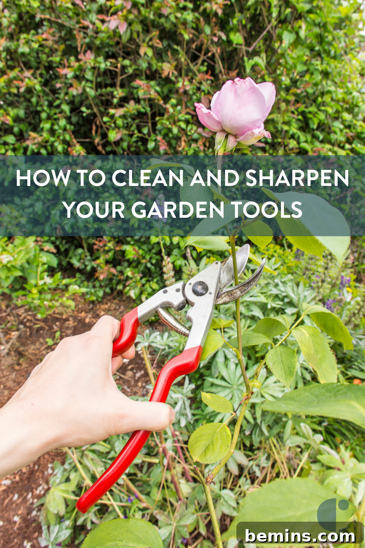 Final image of sharpened garden tools, emphasizing the benefits of regular maintenance for gardening efficiency and plant health.