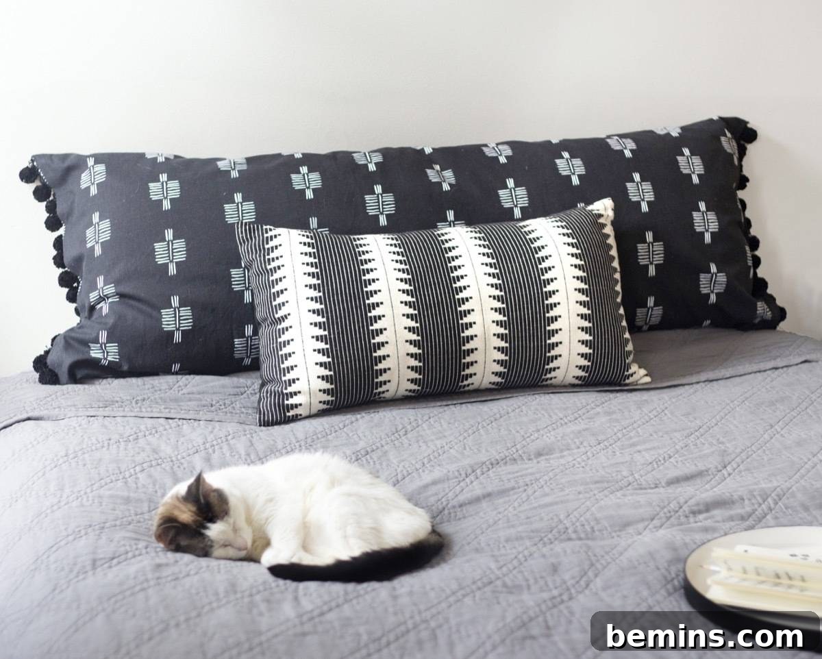 Crafting a Chic Body Pillow Cover: A DIY Guide 11 Body pillow, lumbar pillow, and cat