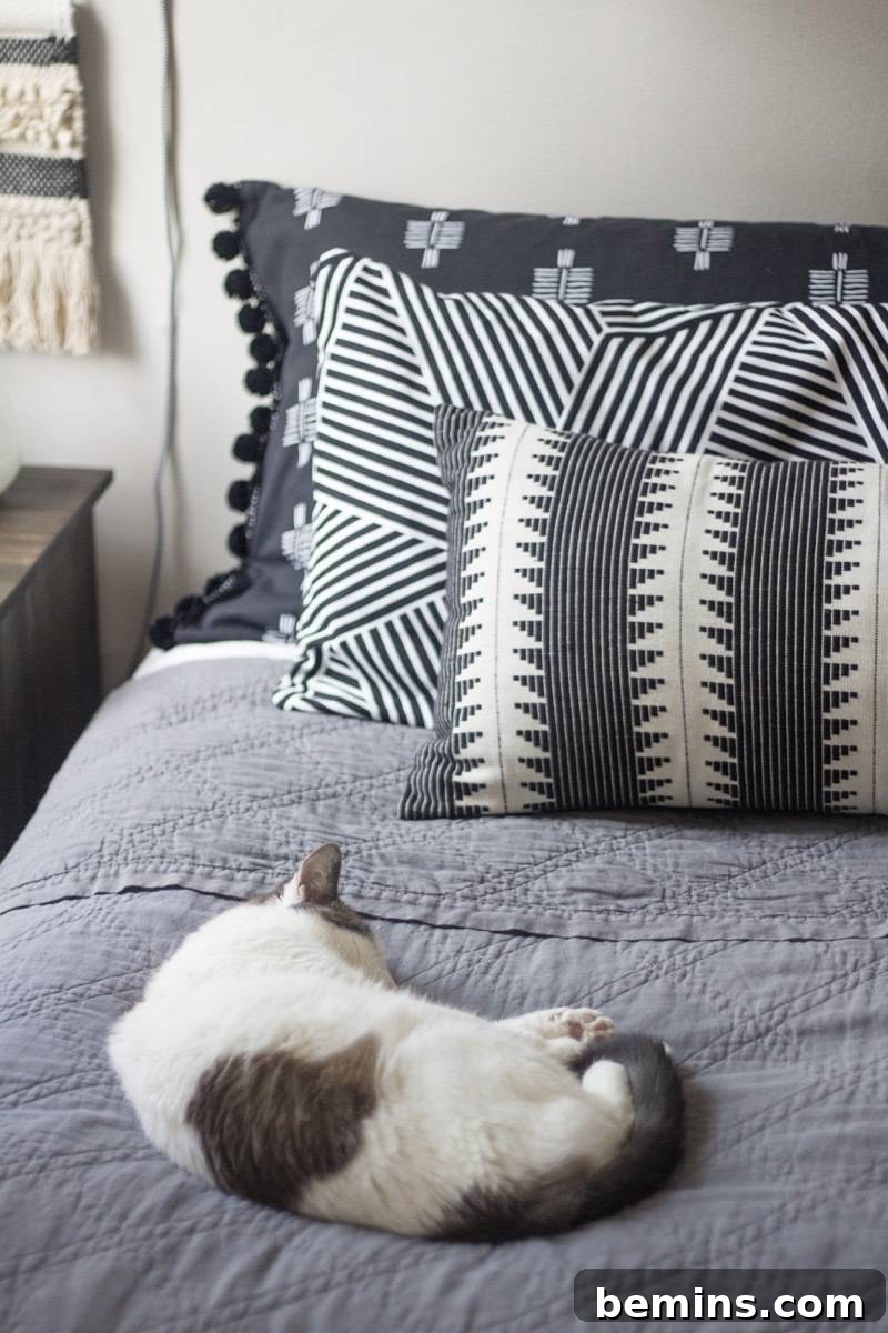 Crafting a Chic Body Pillow Cover: A DIY Guide 13 Closeup of cat in monochromatic bed