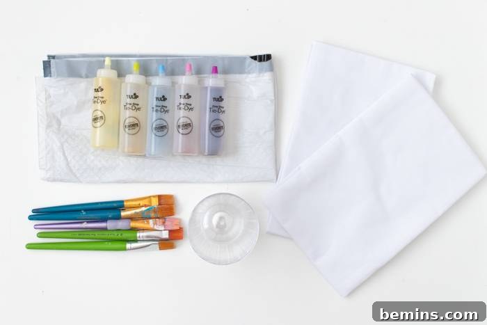 Materials for watercolor pillowcases