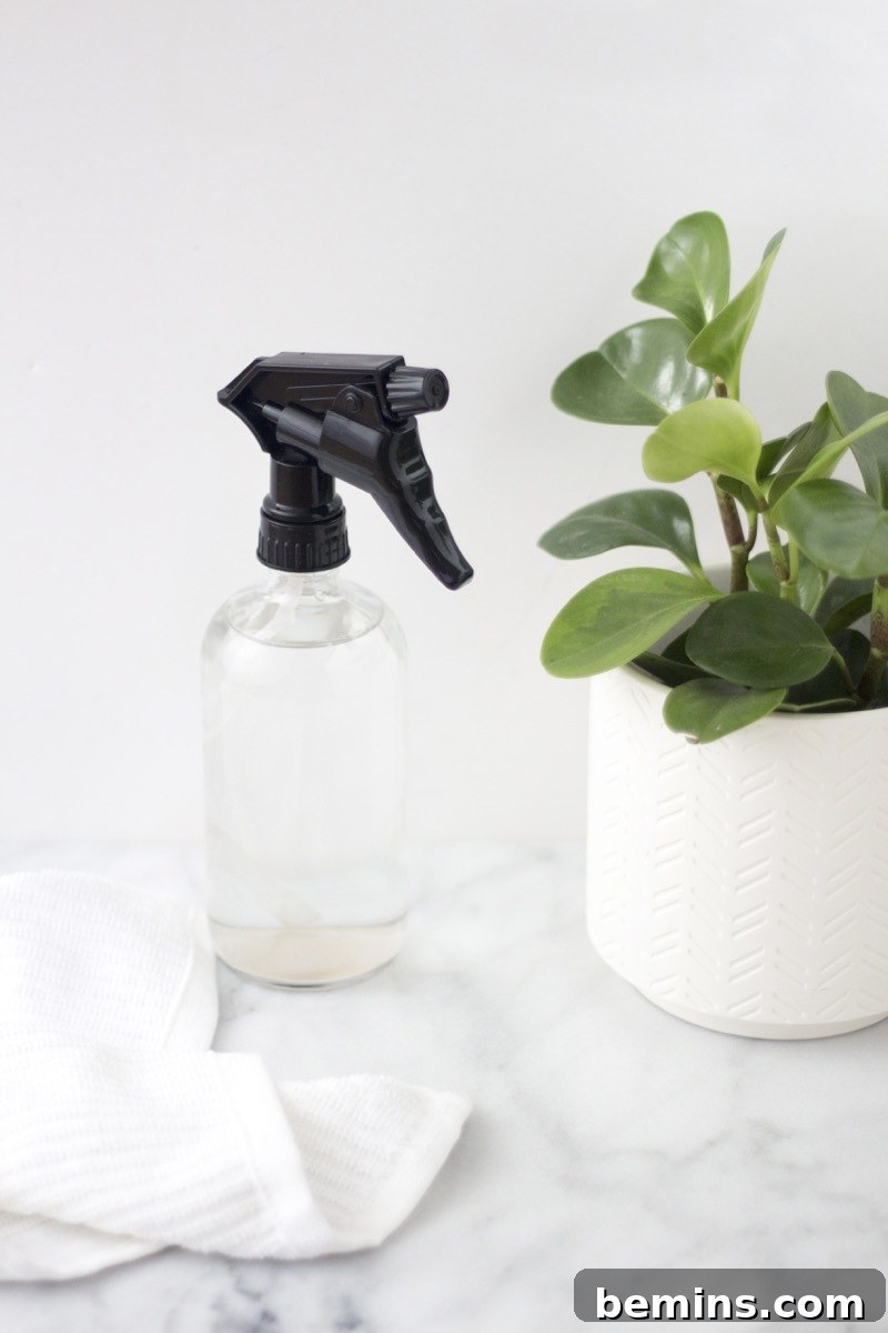 Move-Out Cleaning: Often Overlooked Areas