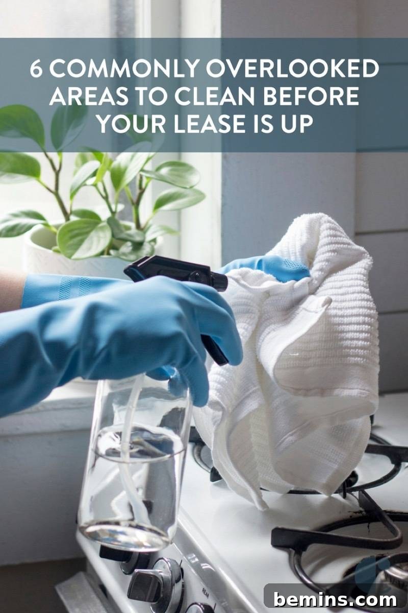 Move Out Cleaning Checklist for Pinterest