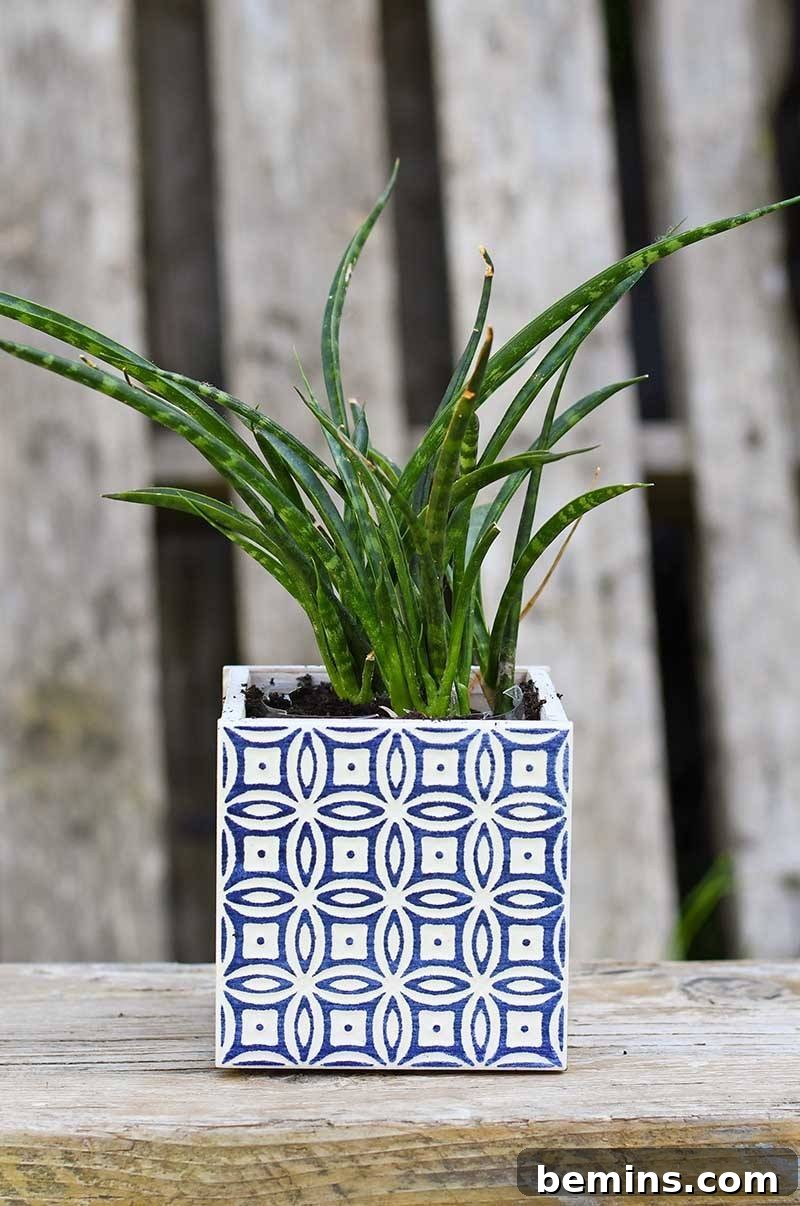 Stunning DIY Planter Ideas to Elevate Your Home 11 DIY Moroccan Tile Planter