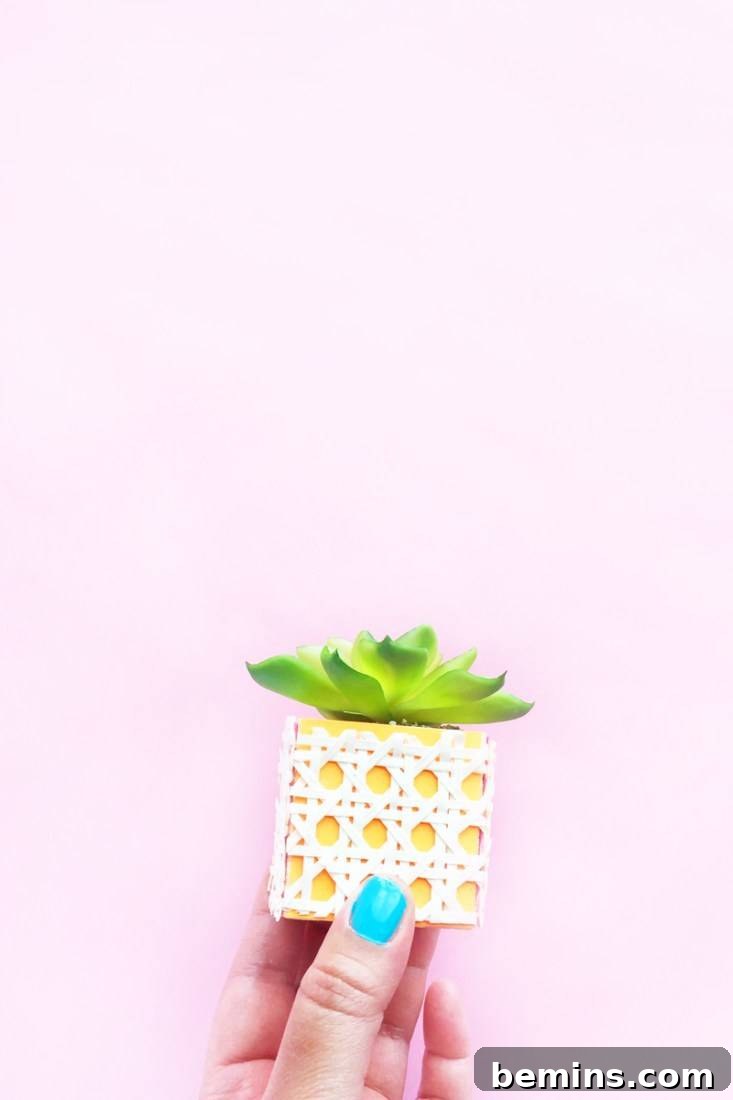 Stunning DIY Planters: 10 Creative Projects to Elevate Your Home - Bemins