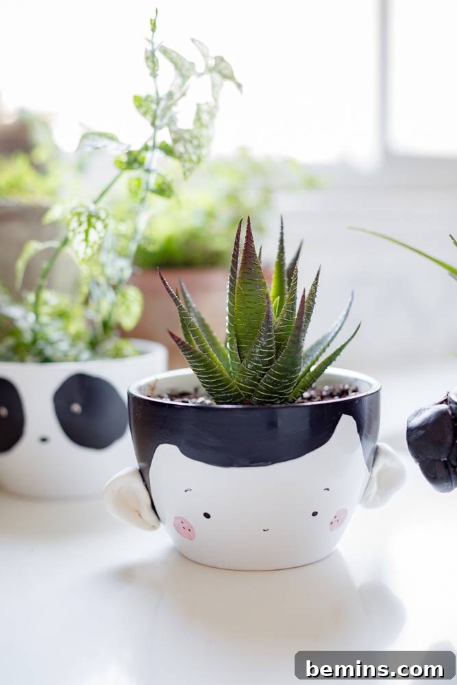 Stunning DIY Planter Ideas to Elevate Your Home 7 DIY Face Planter