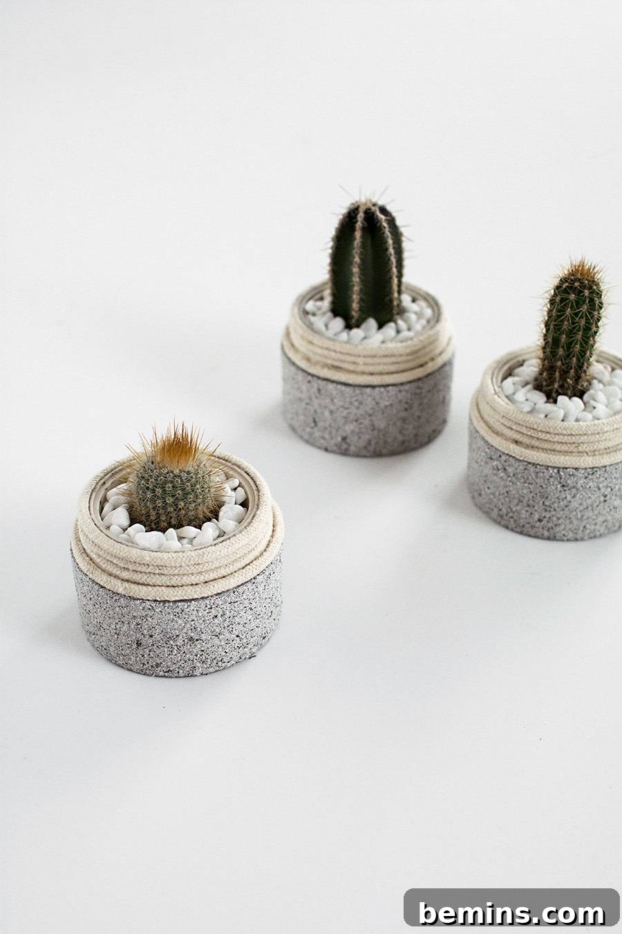 Stunning DIY Planter Ideas to Elevate Your Home 9 DIY Lotion Container Cactus Planter