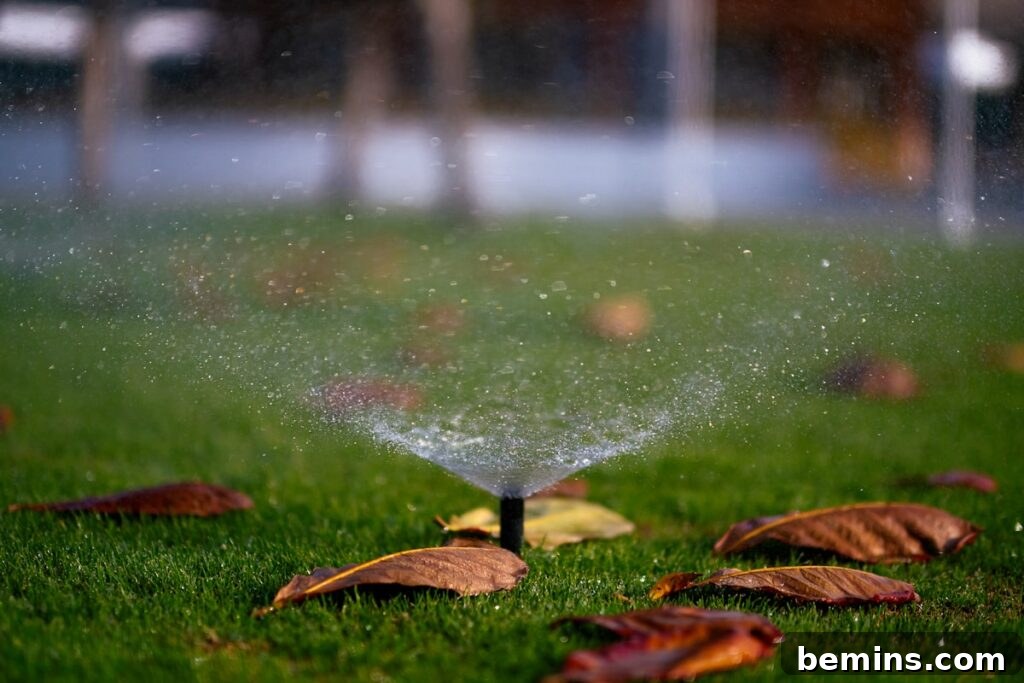 Keeping Your Plants Alive: A Vacation Watering Guide 3 Outdoor sprinkler system