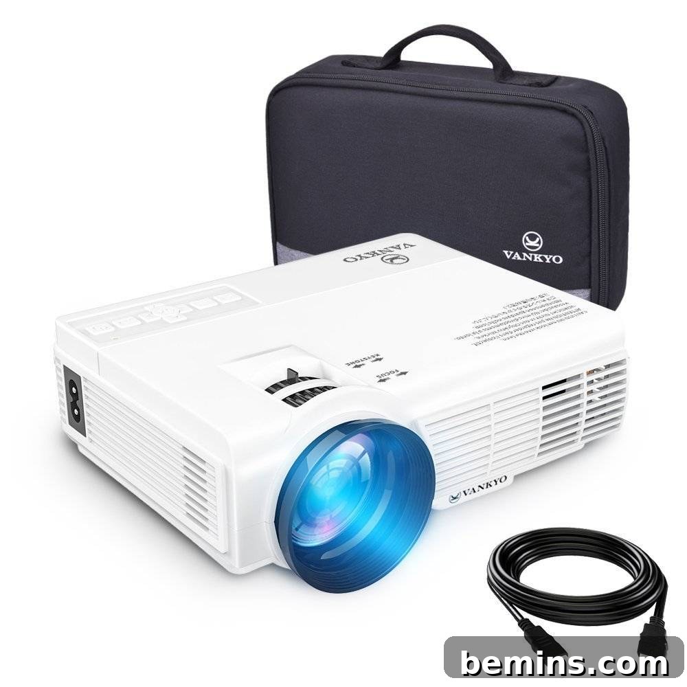 Portable projector for outdoor movies