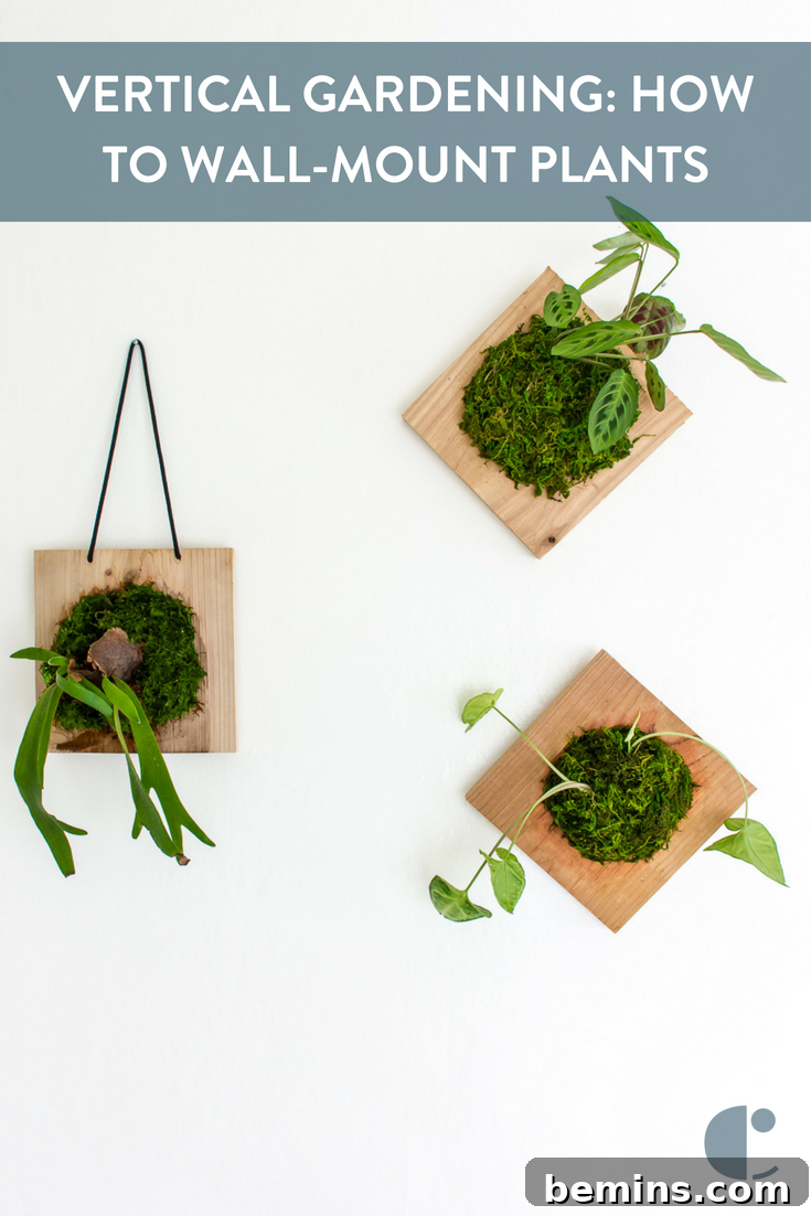 Lush Walls: Elevate Your Home with Vertical Gardens 14 Vertical Gardening DIY Pinterest Graphic