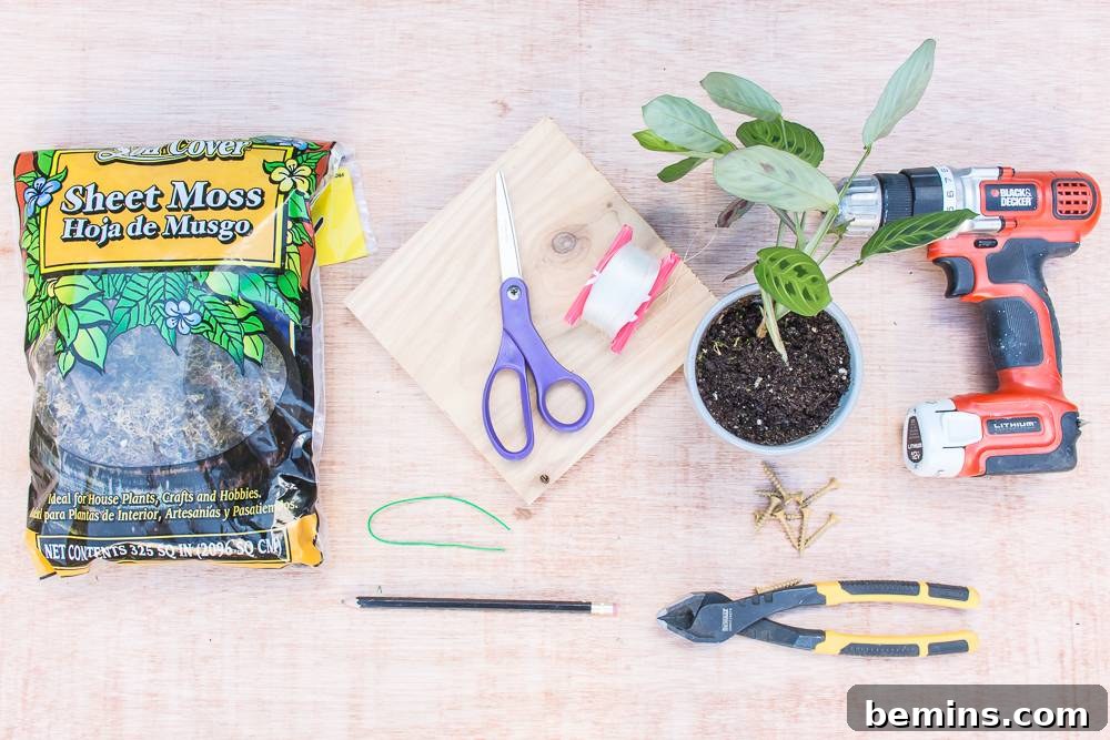 All the materials needed to create a DIY wall-mounted vertical garden.