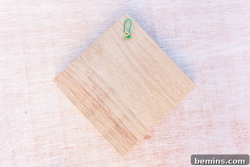 Lush Walls: Elevate Your Home with Vertical Gardens 4 Close-up shot of the hanging method using garden wire attached to a screw on the back of the wood board.