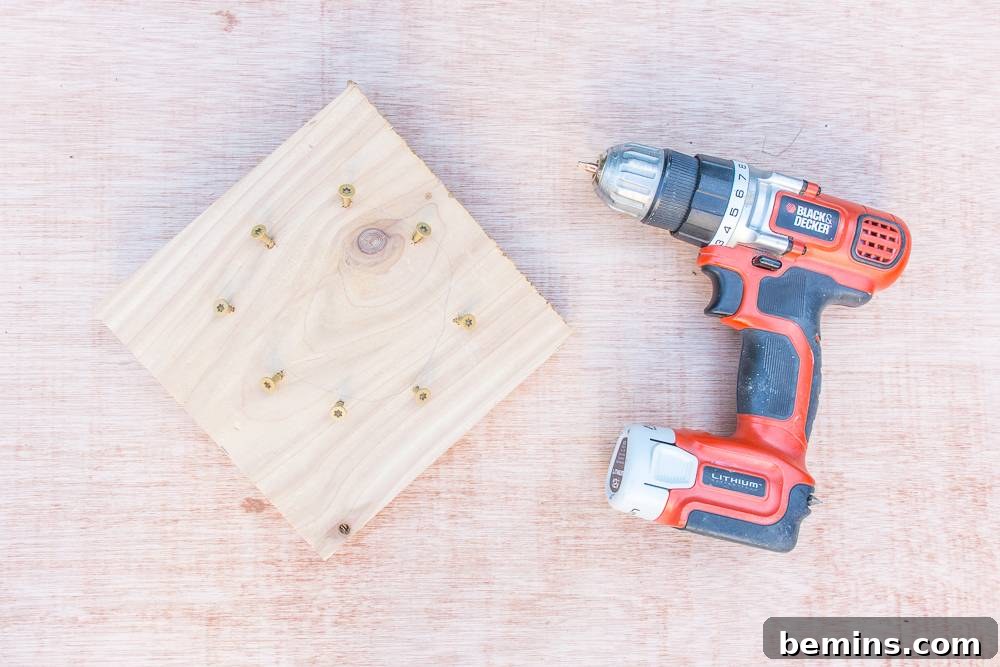 Lush Walls: Elevate Your Home with Vertical Gardens 6 Adding screws angled outward around the traced circle on the wood board.