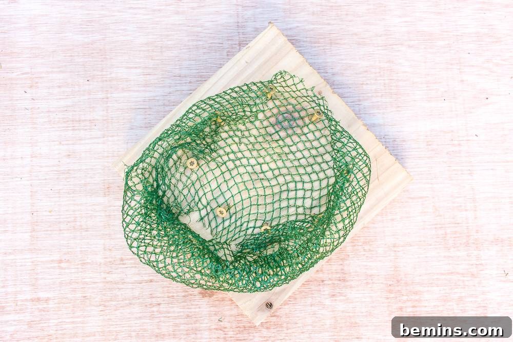 Placing produce netting in the center to create a pocket for the plant.