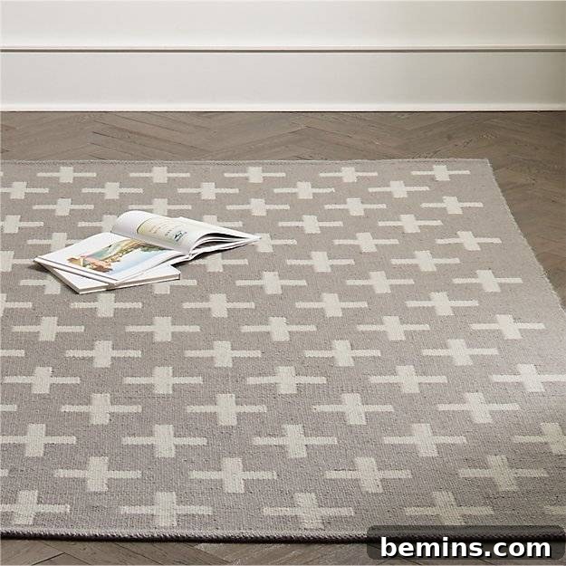 Neutral Rug with Plus Signs