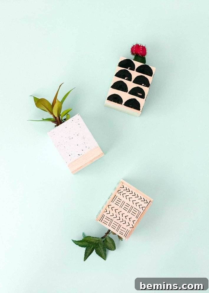 DIY Plant Projects