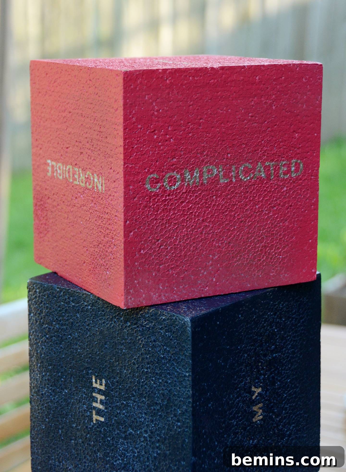 Giant Word Dice for Family Fun