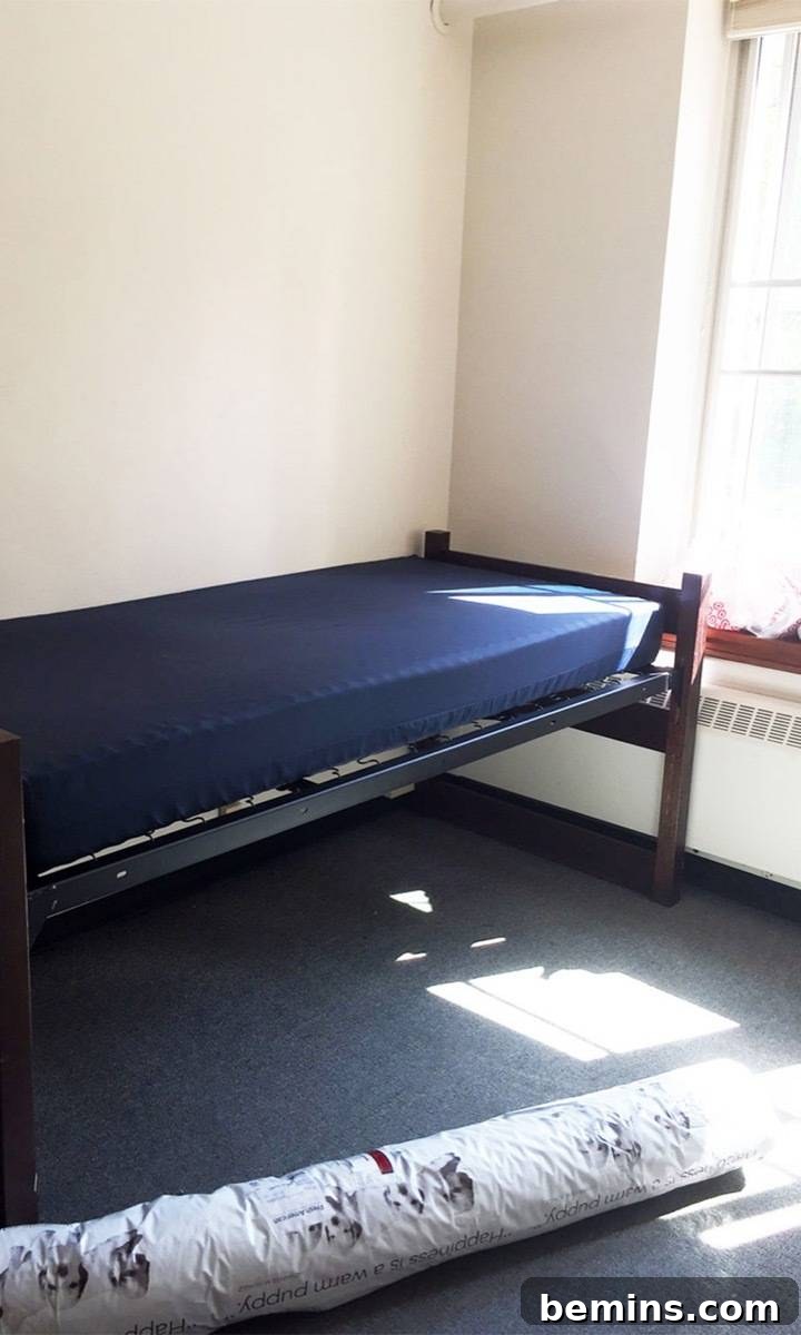 Before: Basic Dorm Room Setup Awaiting Personalization