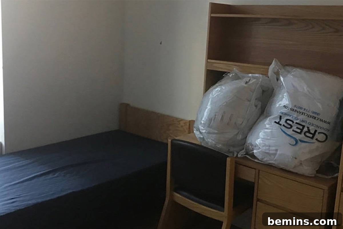 Before: Two large bags sit on a desk next to a blue bed.