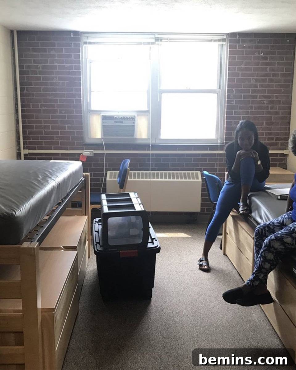 Before: A small dorm room with natural light and a brick wall.