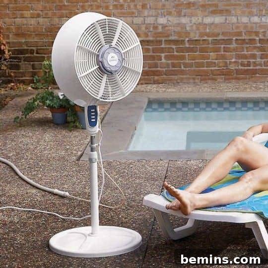 Buzz-Free Summer: 15 Proven Mosquito Repellents 11 Using a Fan to Repel Mosquitoes