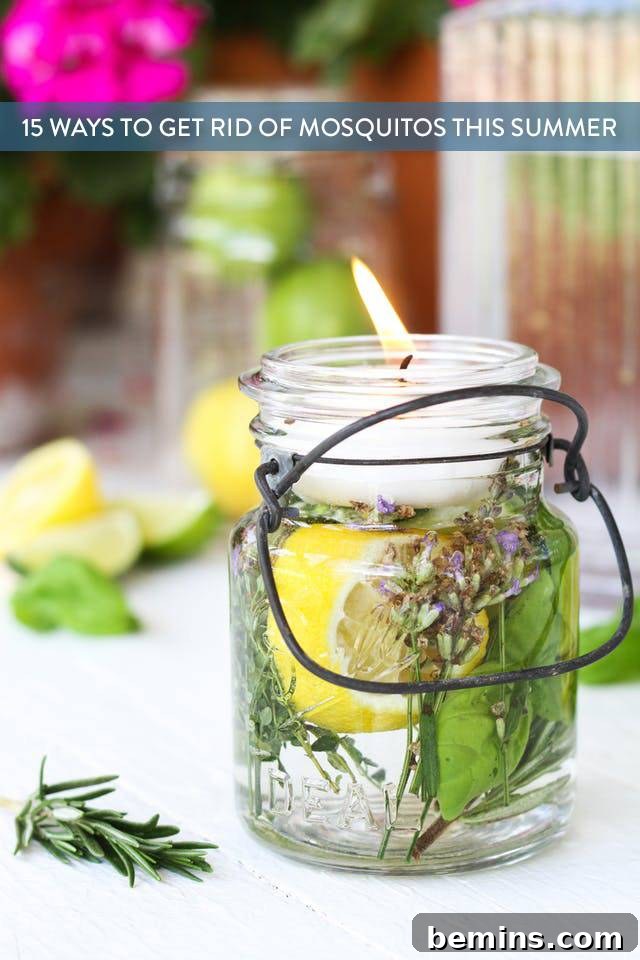 Buzz-Free Summer: 15 Proven Mosquito Repellents 18 Share on Pinterest