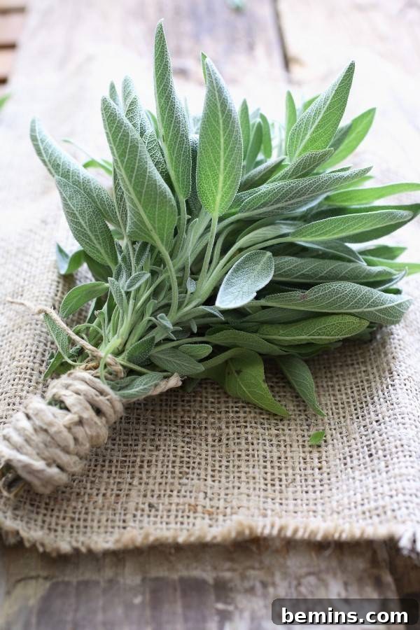 Buzz-Free Summer: 15 Proven Mosquito Repellents 5 Herbs in a Campfire for Mosquito Control