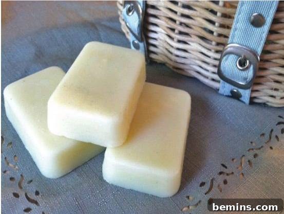 Buzz-Free Summer: 15 Proven Mosquito Repellents 6 DIY Mosquito Repellent Lotion Bars