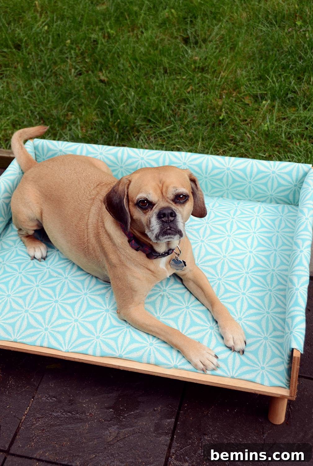 Craft Your Pup's Outdoor Oasis 16 Finished DIY Upholstered Outdoor Dog Bed