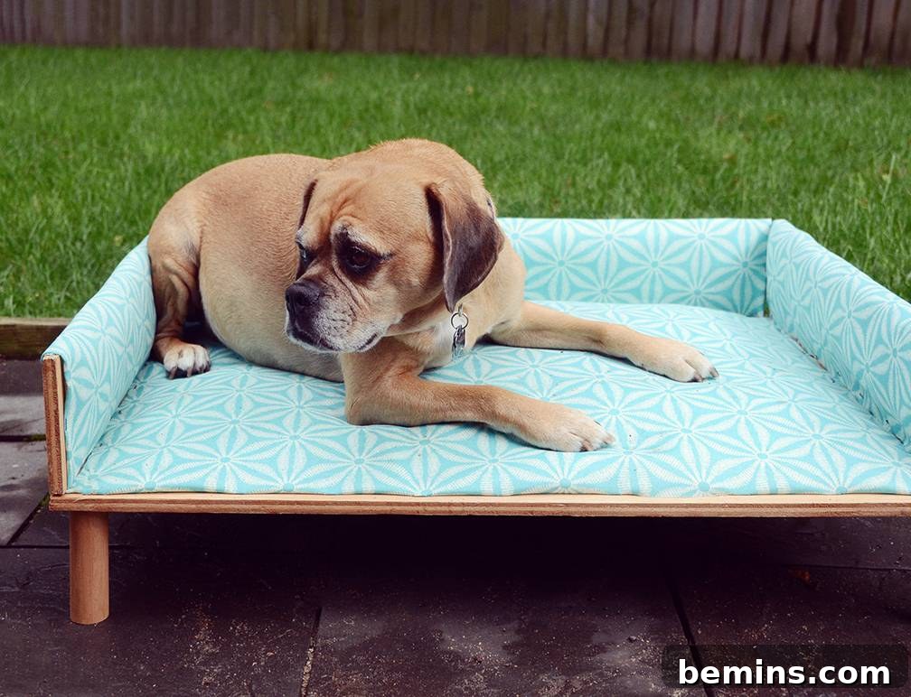 Craft Your Pup's Outdoor Oasis 17 Dog enjoying DIY outdoor bed