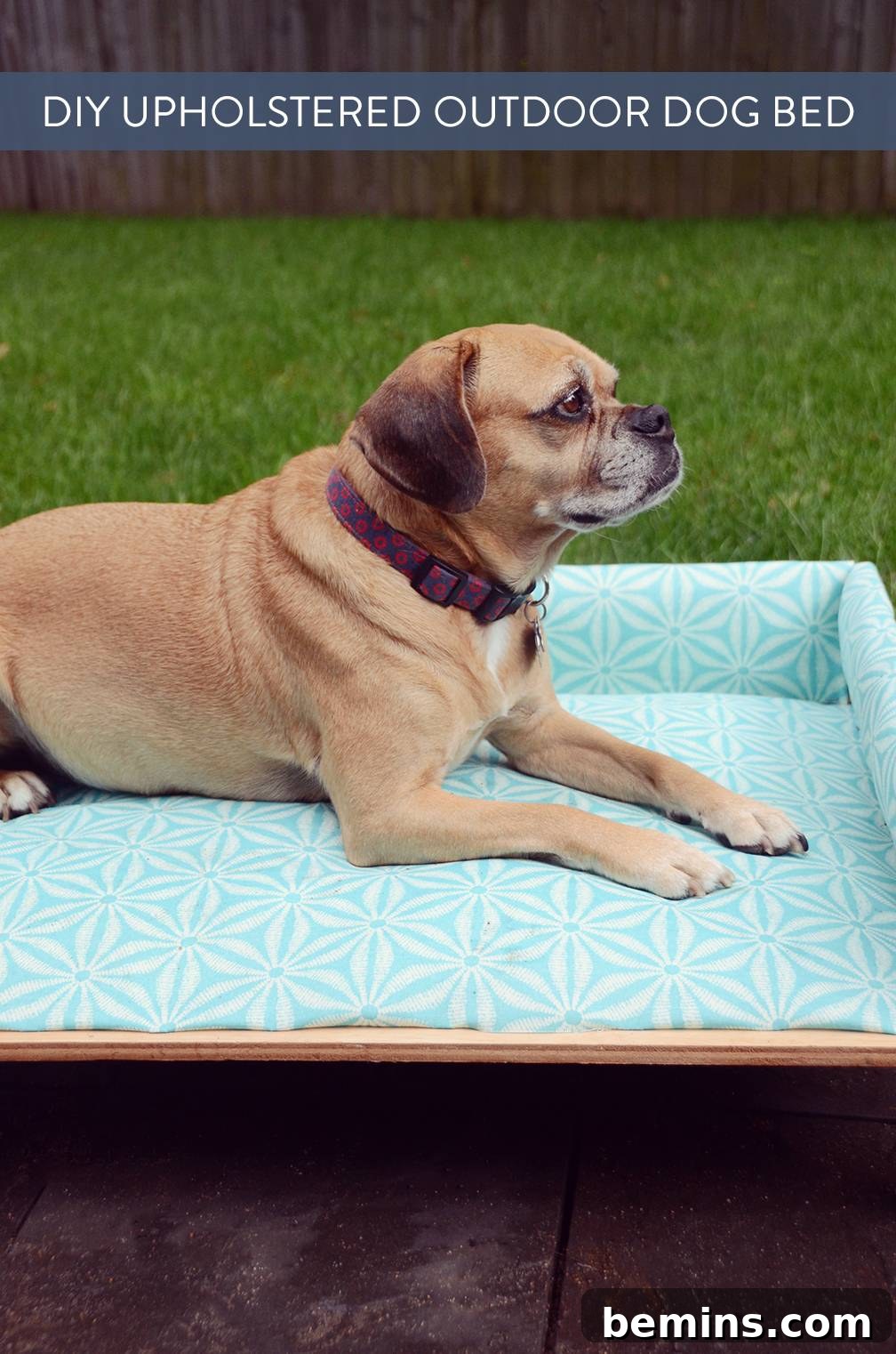 Craft Your Pup's Outdoor Oasis 19 Happy dog on outdoor daybed