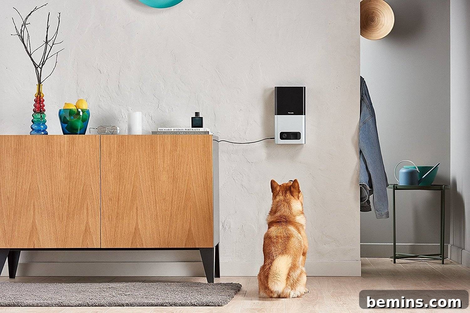 The Ultimate Smart Home Automation Guide for Effortless Living 10 PetCube Treat Dispenser