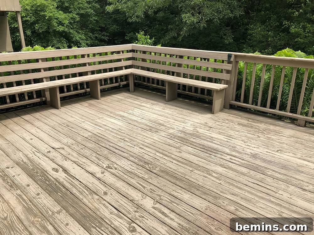 The Ultimate Deck Stripper Showdown 4 weathered deck - before deck stripper