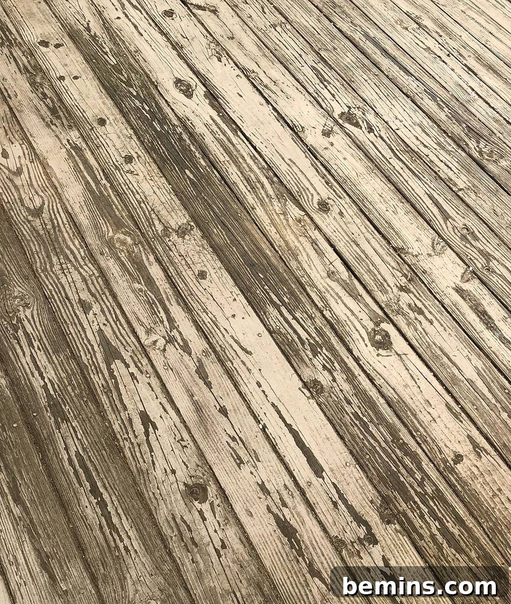The Ultimate Deck Stripper Showdown 8 damaged deck boards