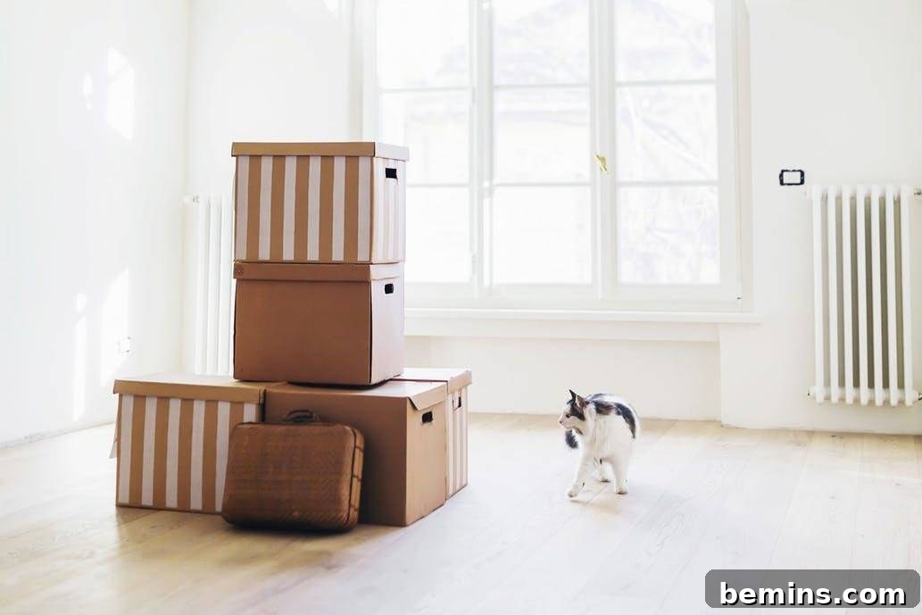 Moving Boxes: Stacked and ready to go
