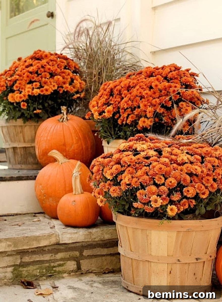 Orange flowers in baskets with dried grasses, creating a seaside look for fall