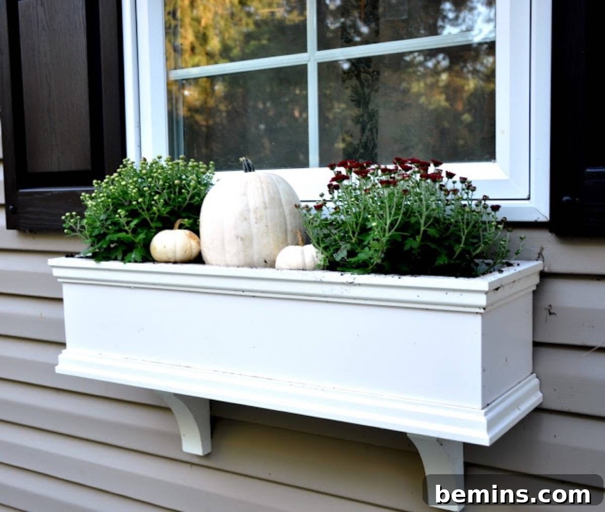 An autumn window box featuring white pumpkins and maroon chrysanthemums, a subtle and elegant way to embrace the season