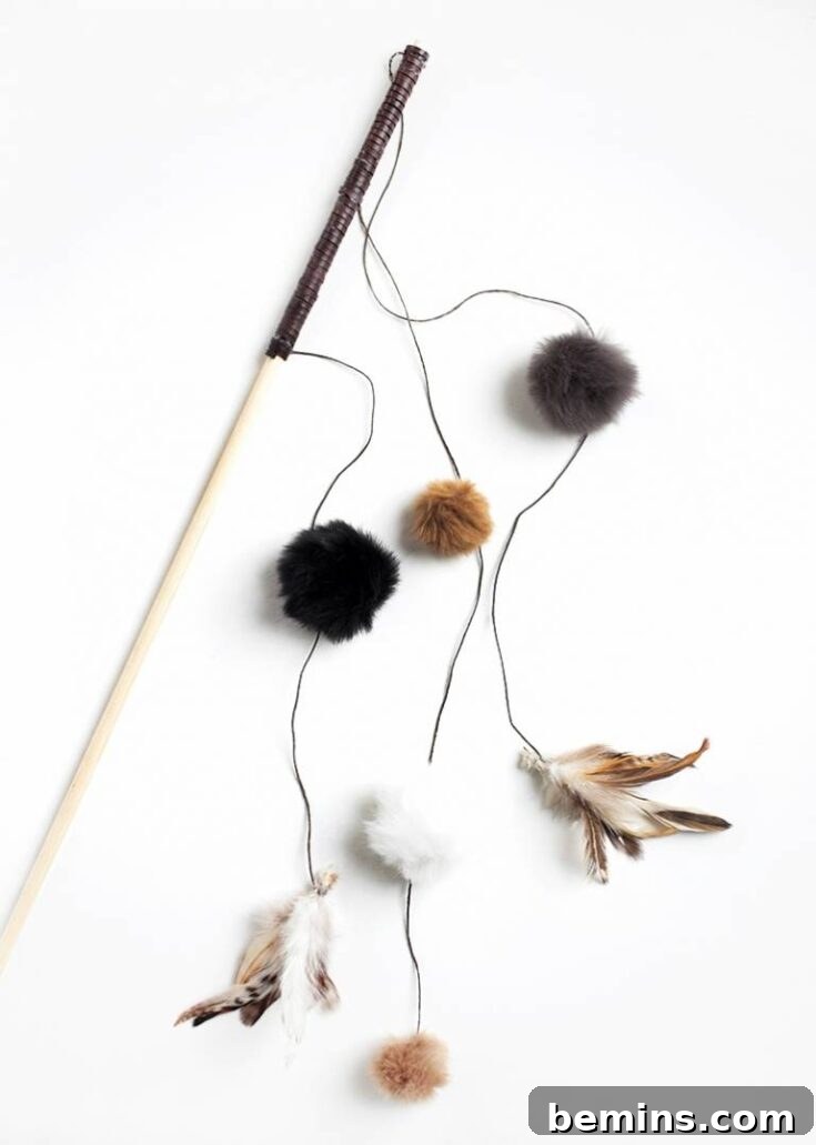 DIY Cat Wand