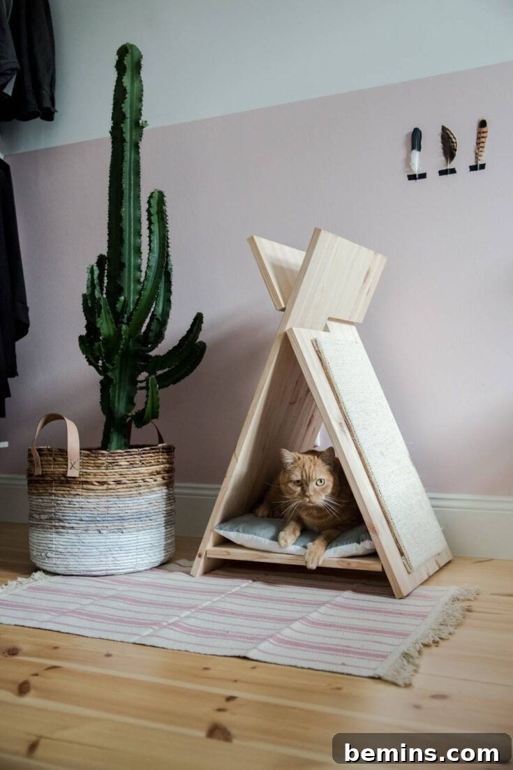 DIY Wood Cat Tent
