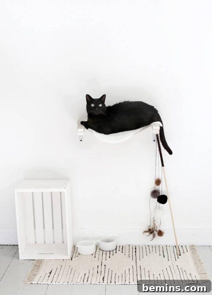 DIY Cat Hammock