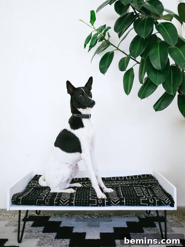 DIY Mid Century Dog Bed