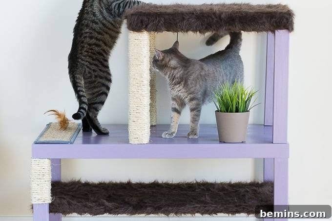 DIY Cat Condo Ikea