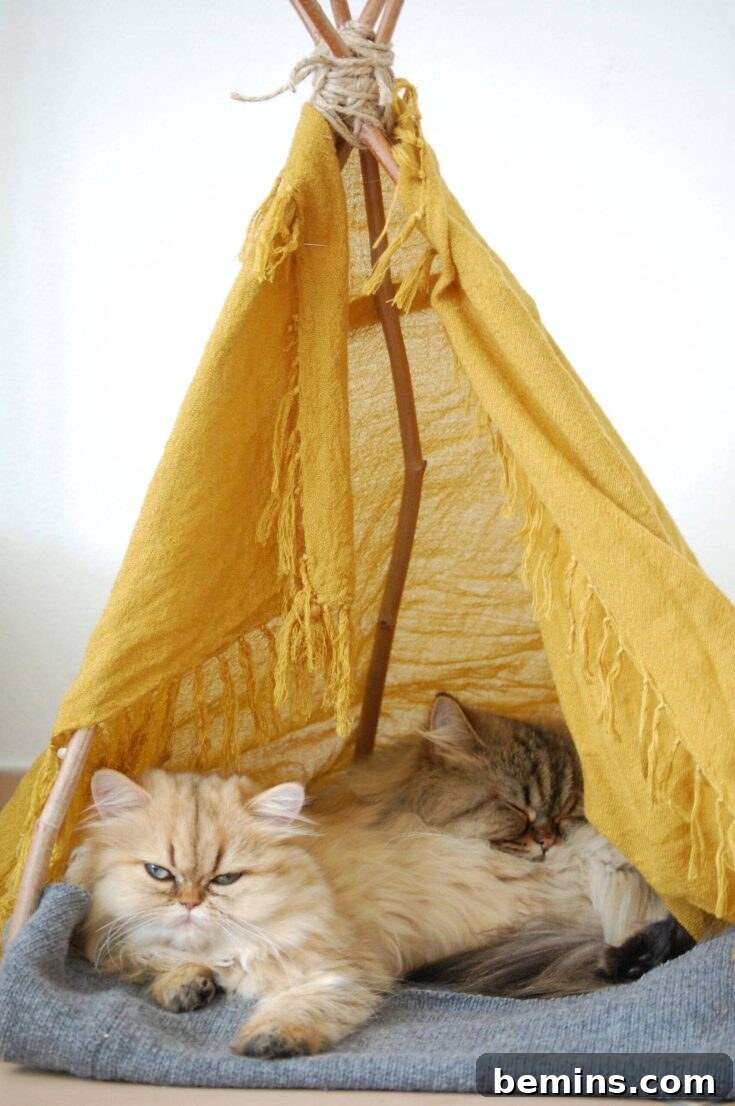 DIY Cat Teepee