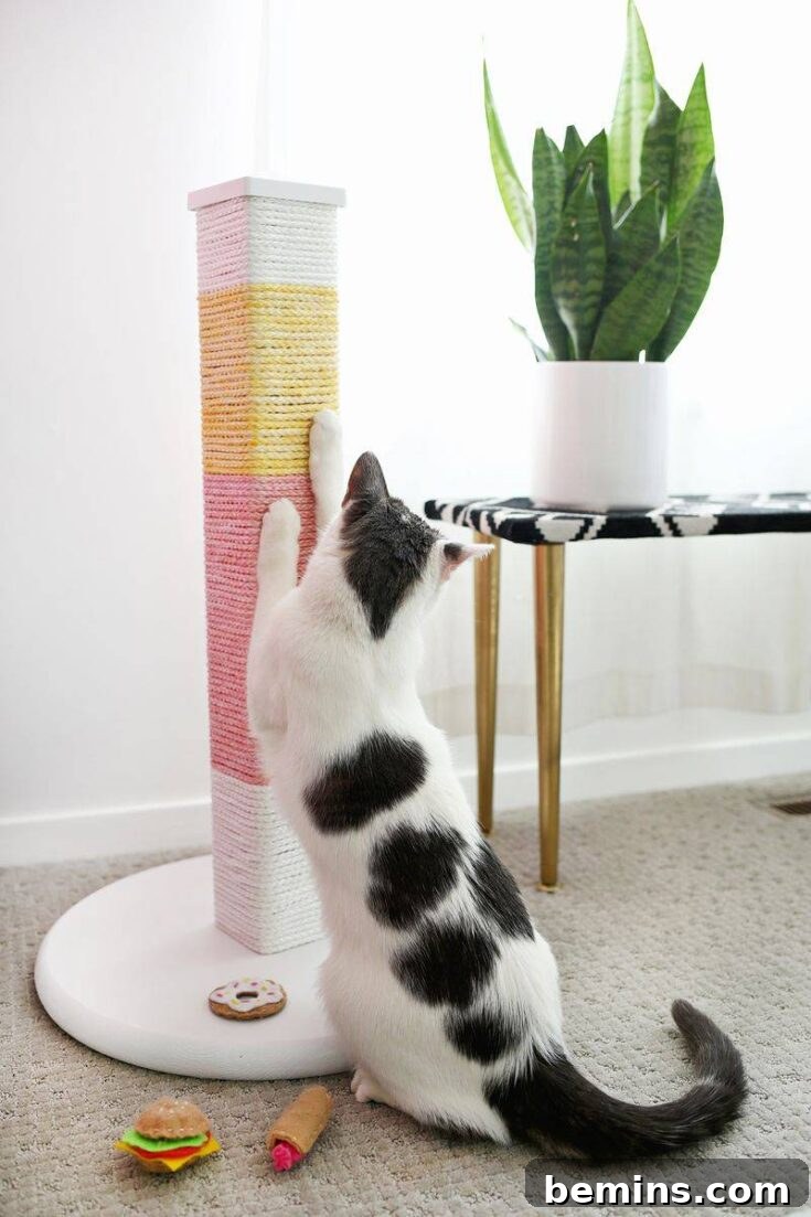 Colorblocked Scratching Post