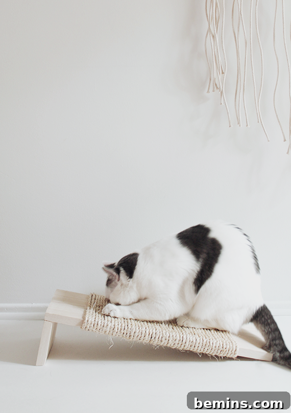 Minimal Cat Scratcher