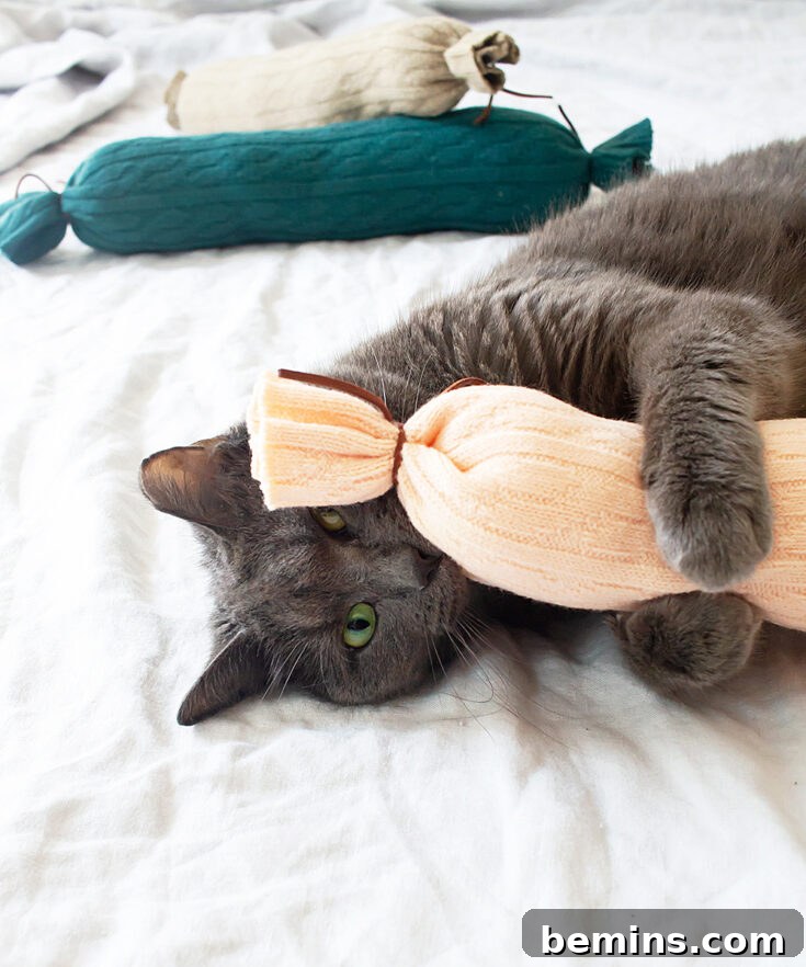 DIY Catnip Sock Toy