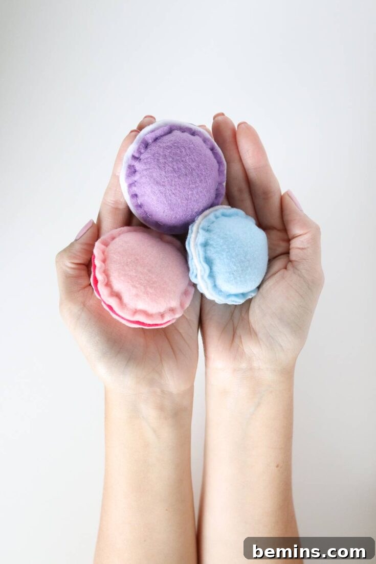 DIY Macaron Cat Toys